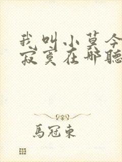 我叫小莫今天我寂寞在哪听歌词