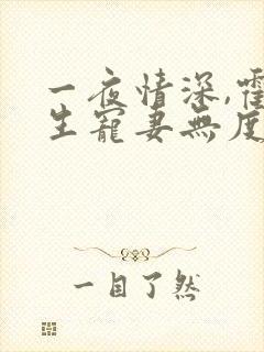 一夜情深,霍先生宠妻无度网络小说