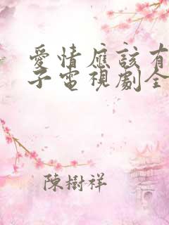 爱情应该有的样子电视剧全集免费观看