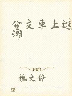 公交车上进入高潮