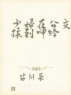 少妇在公交车被揉到呻吟