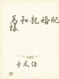 马和龙婚配怎么样