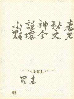 小说神秘老公有点坏全文免费阅读