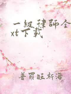 一级律师全集txt下载
