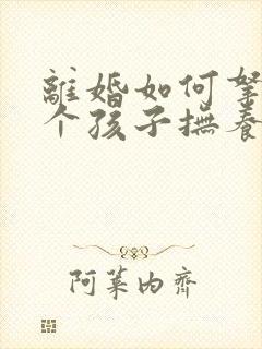 离婚如何拿到两个孩子抚养权