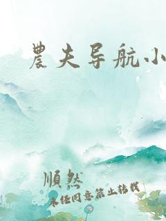 农夫导航小说