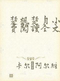 楚枫楚月小说免费阅读全文