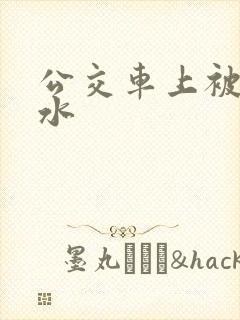 公交车上被插出水