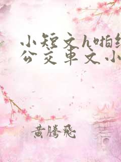 小短文h啪纯肉公交车文小说