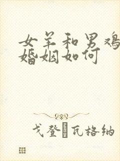 女羊和男鸡相配婚姻如何