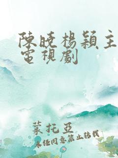 陈晓杨颖主演的电视剧