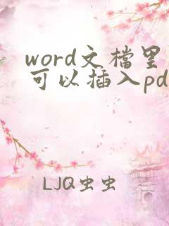 word文档里可以插入pdf文件吗