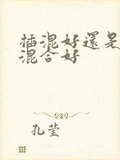 插混好还是油电混合好
