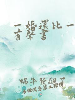 一婚还比一婚高有声书