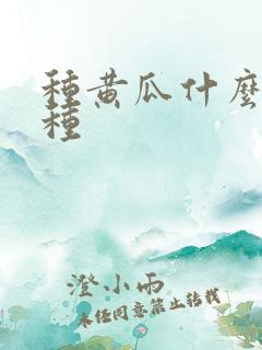 种黄瓜什么时候种