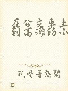 在公交车上被摸到高潮的小说文章