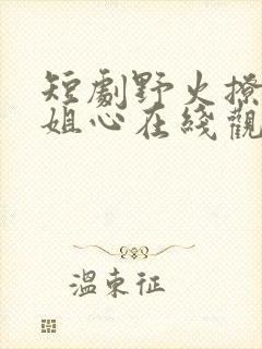 短剧野火撩过姐姐心在线观看