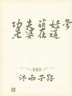 功夫萌娃爹地你老婆在这
