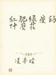 红肥绿瘦的红是什么花