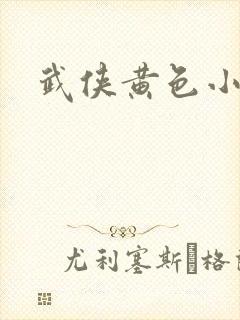 武侠黄色小说