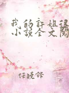 我的许姐很温柔小说全文阅读