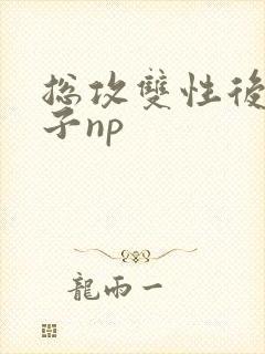 总攻双性后宫生子np