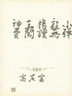 神王杨毅小说免费阅读无弹窗