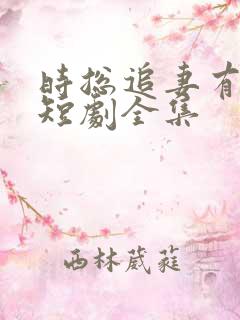时总追妻有点甜短剧全集