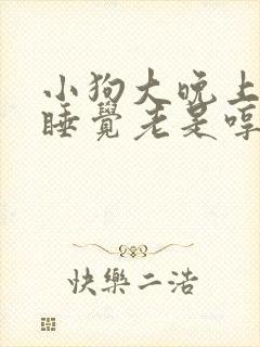 小狗大晚上的不睡觉老是哼哼叫