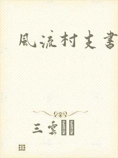 风流村支书