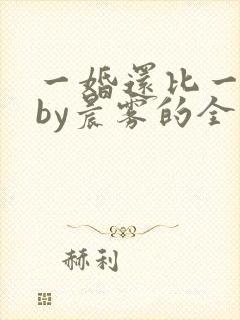 一婚还比一婚高by晨雾的全文阅读
