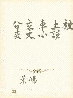 公交车上被强上爽文小说