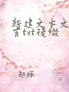 新建文本文档没有txt后缀
