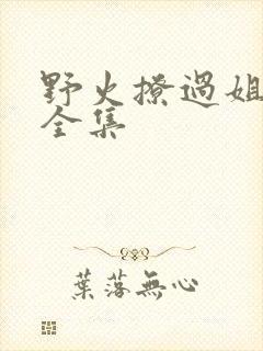 野火撩过姐姐心全集