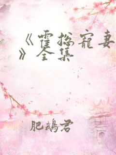 《霍总宠妻无度》全集