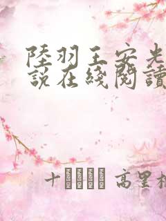陆羽王安光的小说在线阅读无弹窗