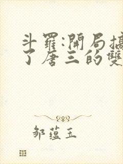斗罗:开局搞没了唐三的双生武魂小说