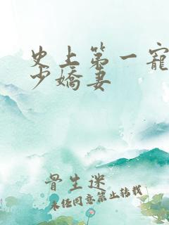 史上第一宠婚慕少娇妻