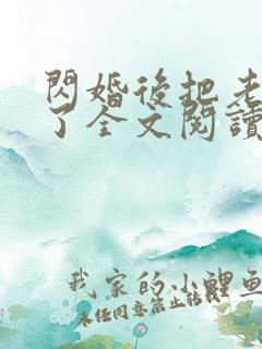 闪婚后把老公忘了全文阅读