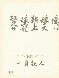 替嫁新娘亿万老公宠上天 小说