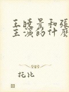王晓晨和张嘉译主演的什么电视剧