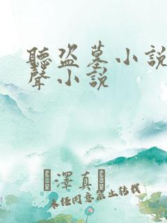 听盗墓小说的有声小说