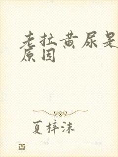 老拉黄尿是什么原因