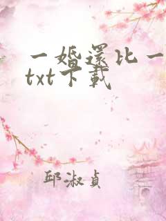 一婚还比一婚高txt下载