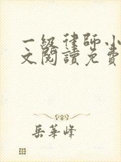 一级律师小说全文阅读免费