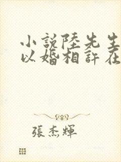 小说陆先生偏要以婚相许在线阅读