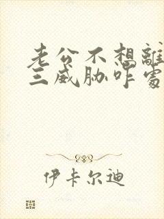 老公不想离但小三威胁咋处理