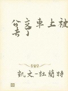 公交车上被插进去了