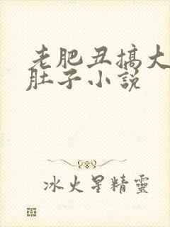 老肥丑搞大美人肚子小说