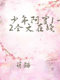 少年阿宾1一72全文在线